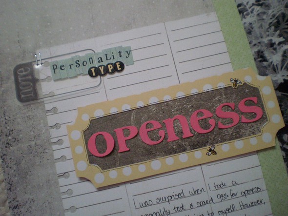 Personality Type - Openess by Starr gallery
