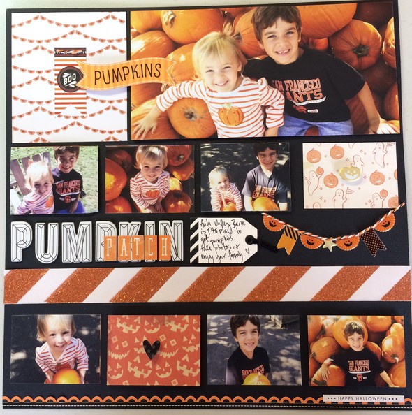 Pumpkin Patch by ccallaghan gallery