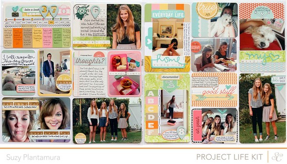 Project Life Week 37 (PL Kit ONLY) by suzyplant gallery
