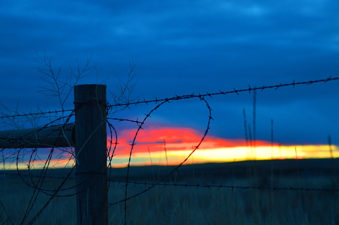 1 morning barbed wire sunrise original