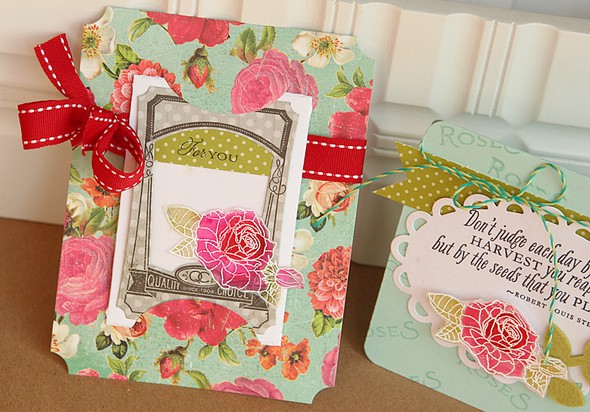 Garden Variety II card and seed packet gift card by Dani gallery