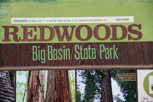 Big Basin Redwoods State Park by jlharbal gallery