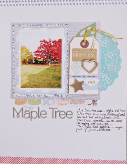 The maple tree