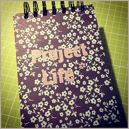 Project Life Notes