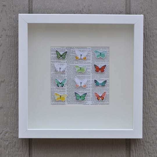 Butterfly display