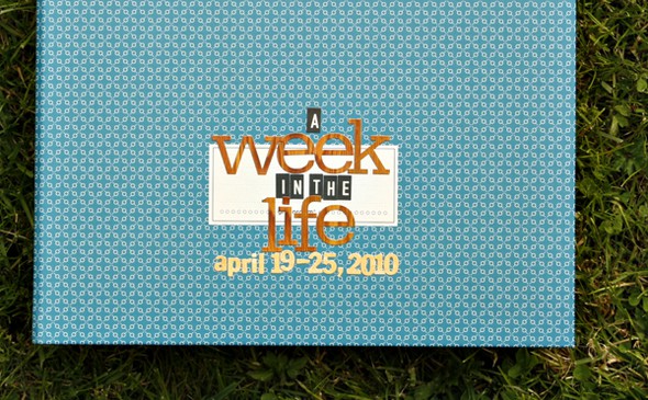 a week in the life by alissa gallery