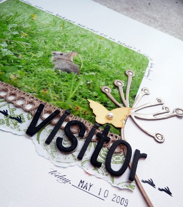 Visitor by reeni gallery