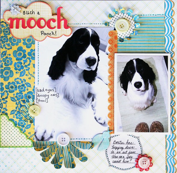 Mooch Pooch by Jacquie gallery