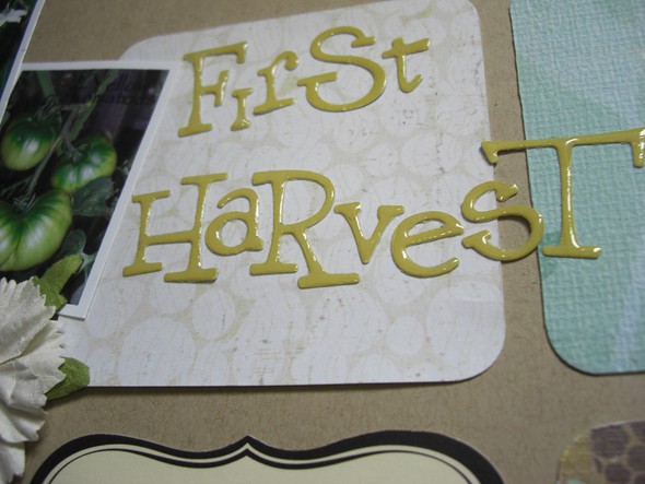 First Harvest by silverscraps gallery