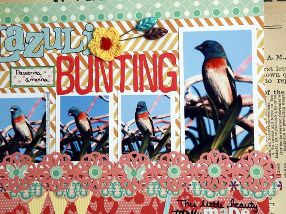 Caz Challenge-Lazuli Bunting of Happiness by Ursula gallery