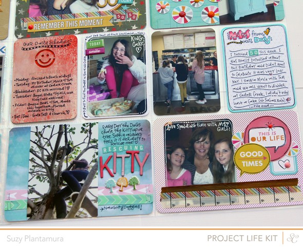 Project Life Week 6 2013 by suzyplant gallery