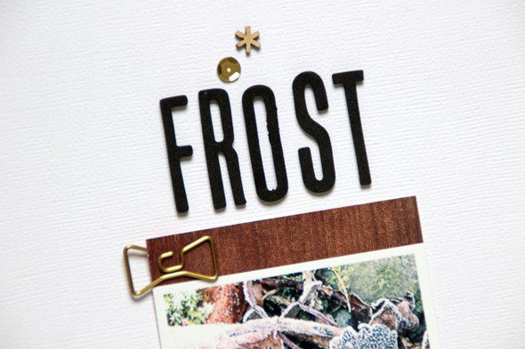 Frost by AnkeKramer gallery