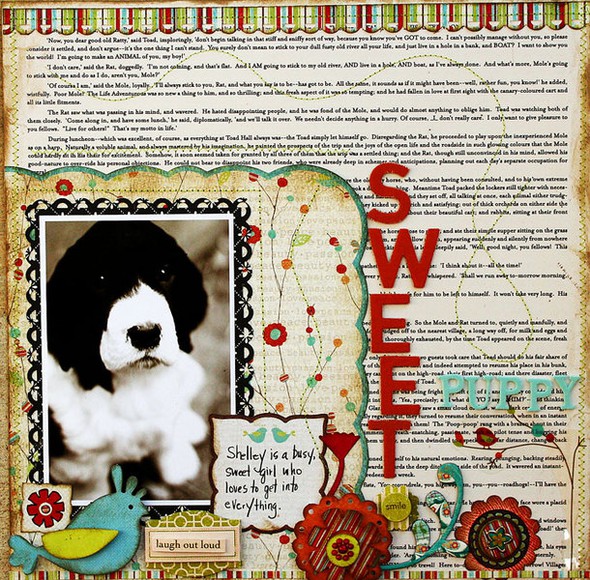 Sweet puppy by Jacquie gallery