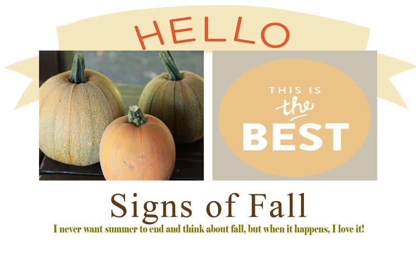 Signs of fall edited 3 original