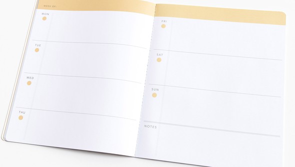 Planner Insert + Daily Notebook - Seeing Spots gallery