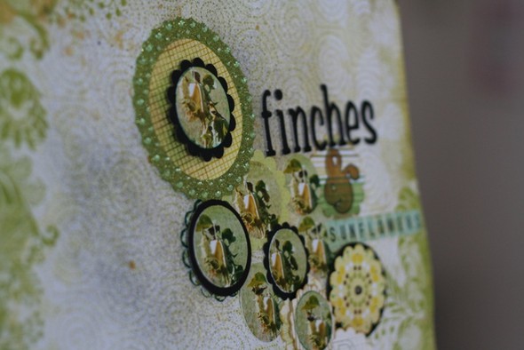 Finches & Sunflowers by PhotoPaperScissors gallery