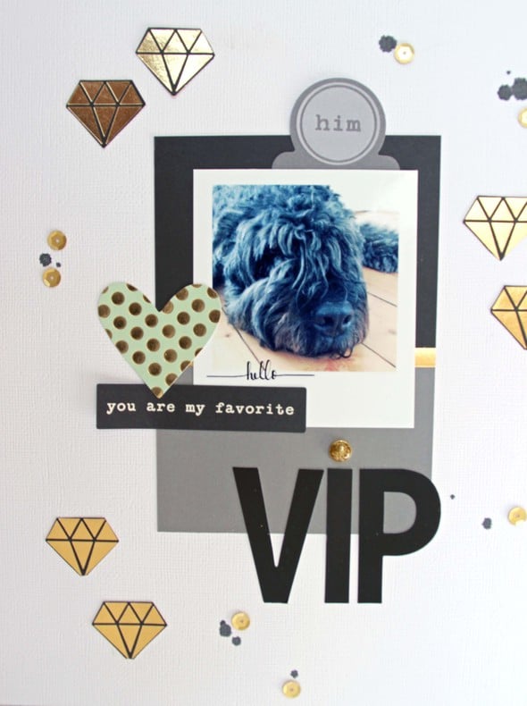 VIP (very important pet) by AnkeKramer gallery