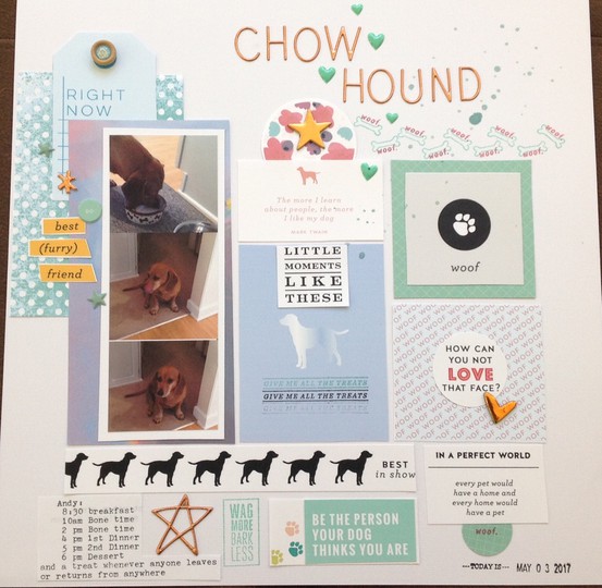 Chow hound 