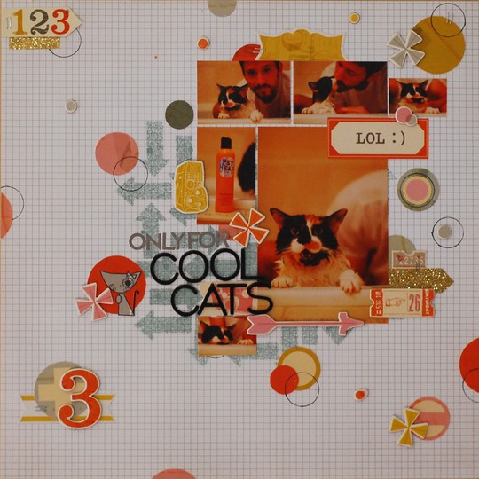 only for cool cats *NSD Multi-Photo & Graphic*