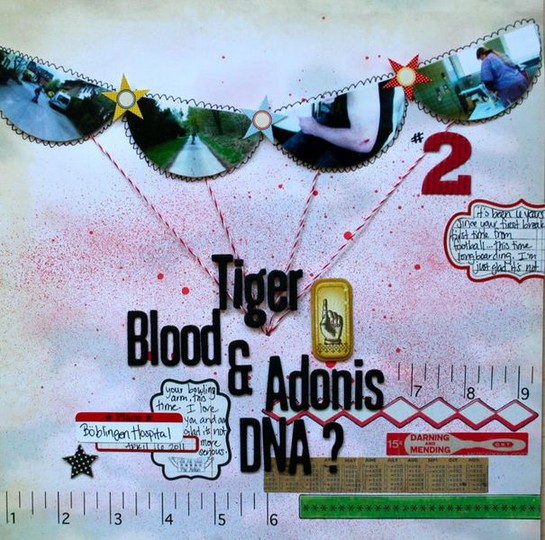 Tiger Blood & Adonis DNA?
