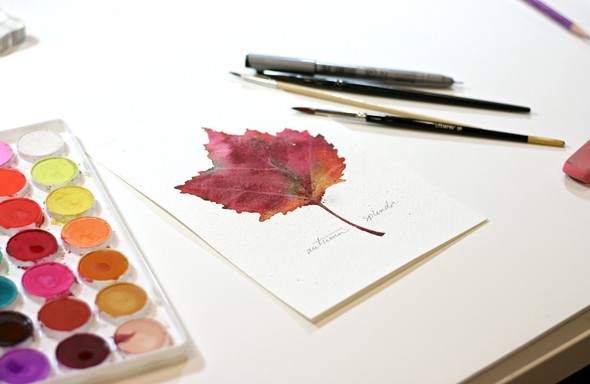 watercolor leaf by dewsgirl gallery